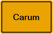 Grundbuchauszug Carum