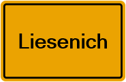 Grundbuchauszug Liesenich