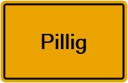 Grundbuchauszug Pillig