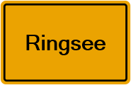 Grundbuchauszug Ringsee