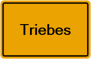 Grundbuchauszug Triebes