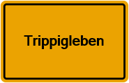 Grundbuchauszug Trippigleben